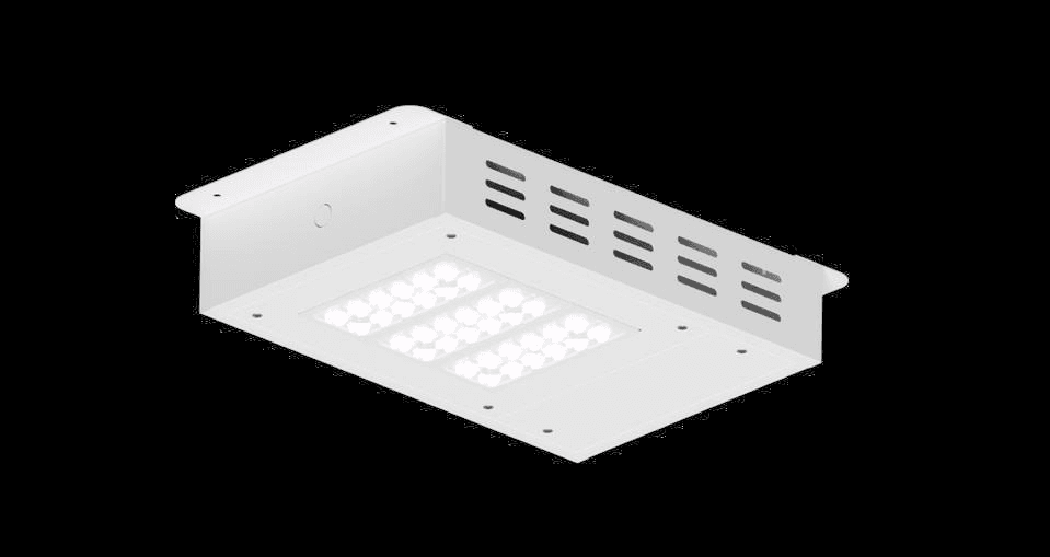 Antlia Low-bay — Canopy low-bay